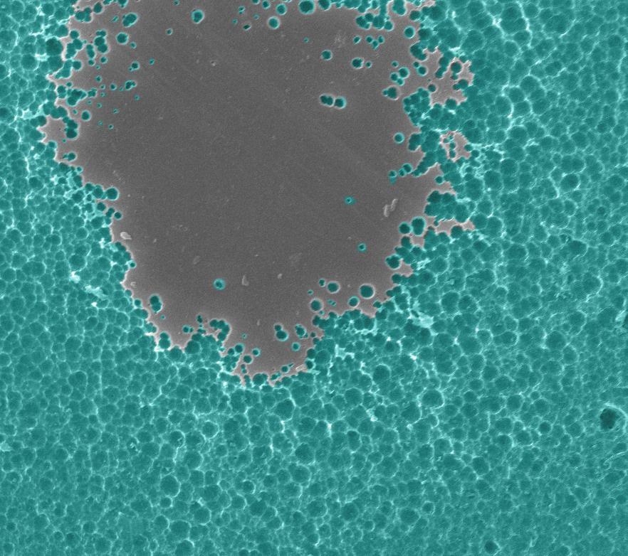 nrel-electron-microscope-enzyme-interaction-2.jpg