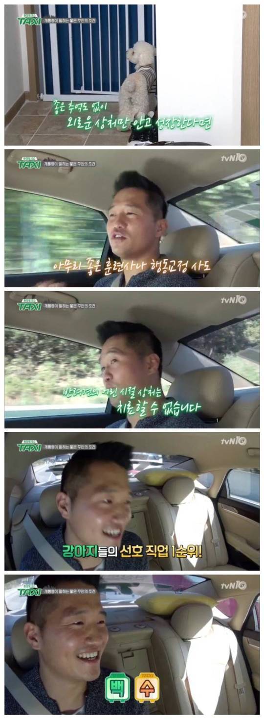 강아지들이 원하는 주인의 직업 03.JPEG