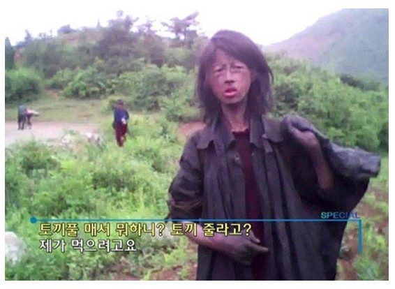 북한 토끼풀 먹는 소년.jpg