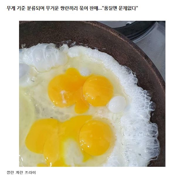 캡처.JPG