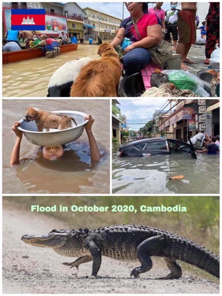 홍수로 난리난 캄보디아 근황3.jpg