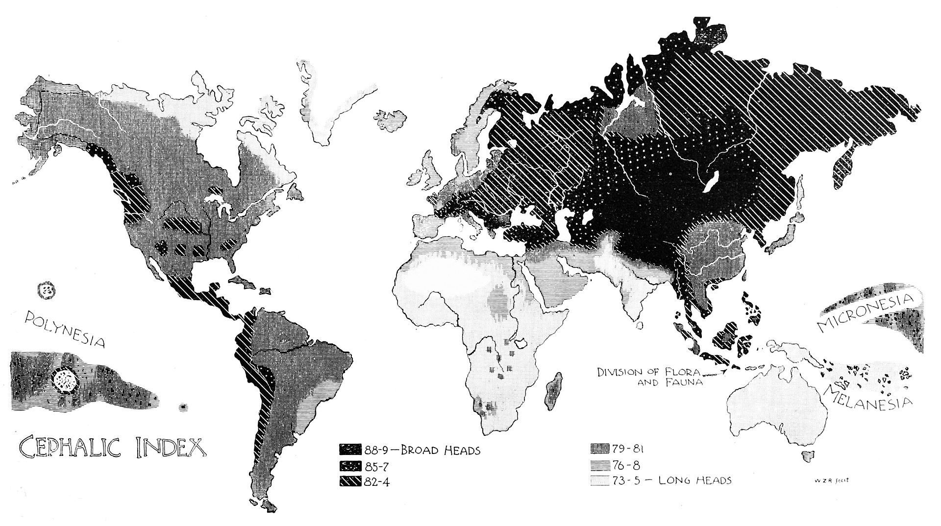 1920px-PSM_V50_D602_World_cephalic_index_map.jpg