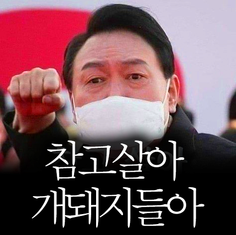 참고살아 개돼지들아.png