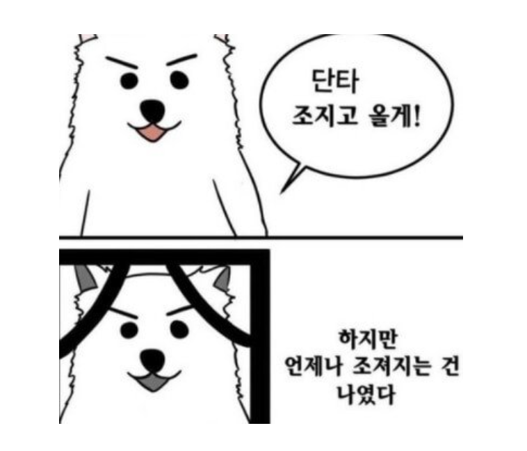 화면 캡처 2024-08-15 112555.png